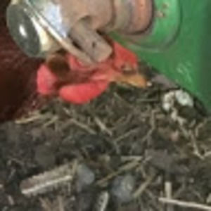 Meet your Posher, Ahh